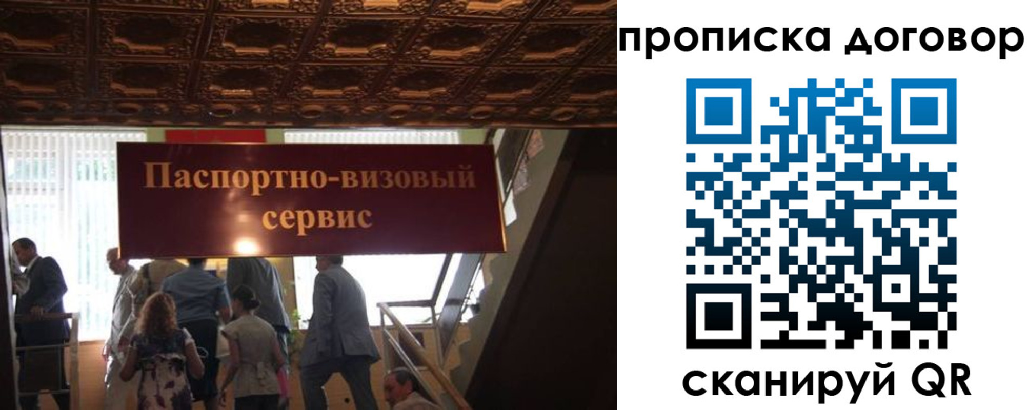 прописка в квартире в Лосино-Петровском