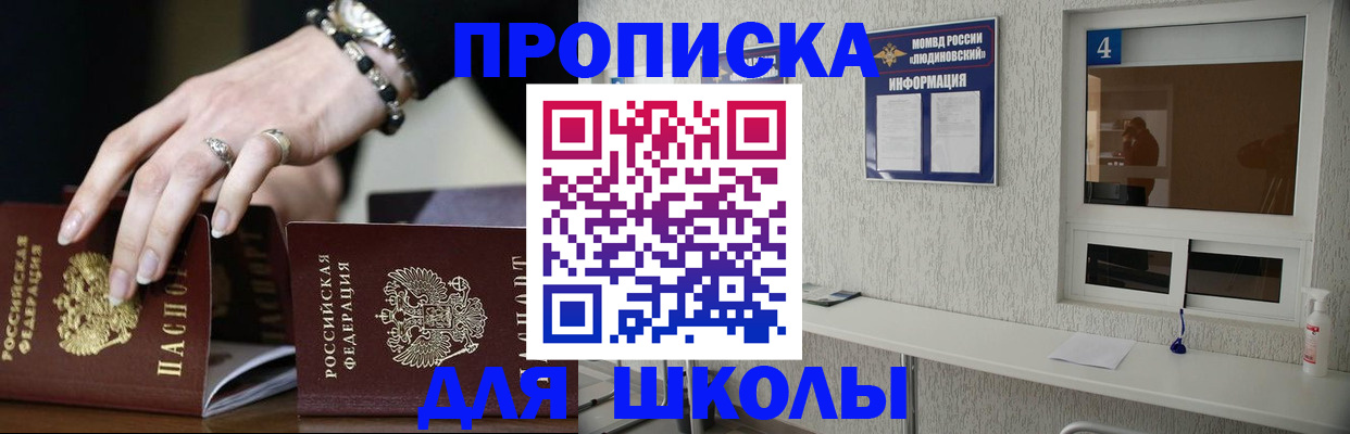 пропишу в квартире в Лосино-Петровском